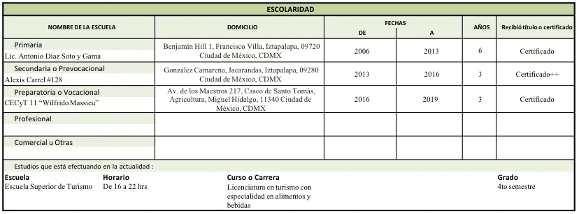 ejemplo de un solicitud de empleo llena