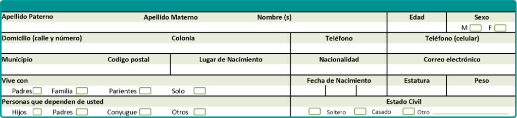 solicitud de empleo para llenar