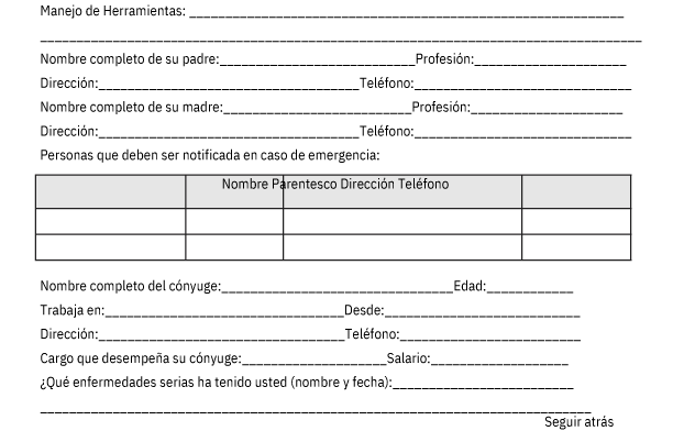 solicitud de empleo en word